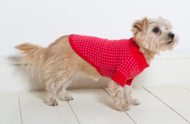 Cashmere Dog Sweaters from Ruby Rufus
