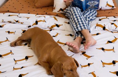 Dachshund Bedding from Castle