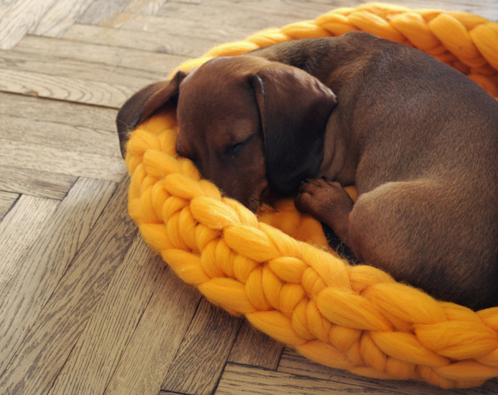 Chunky Knit Pet Beds by Anna Mo
