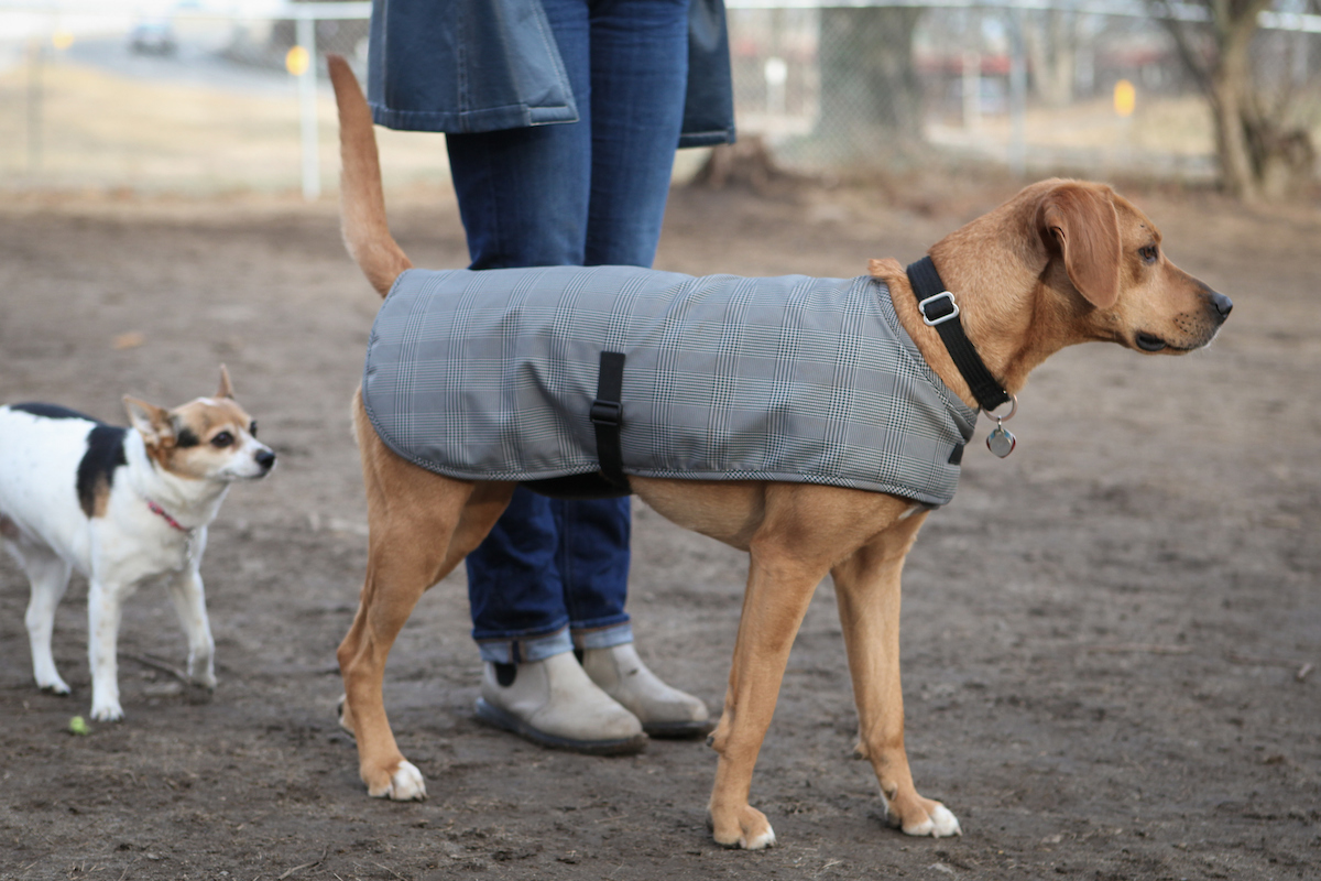 Cleverpup Waterproof Dog Coats