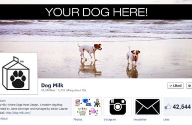 July Cover Canine Call for Submissions