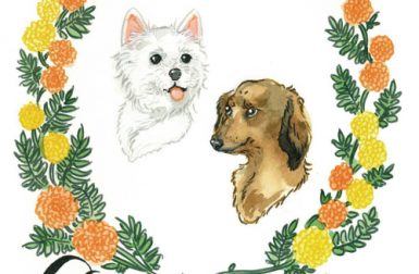 Custom Illustrated Pet Portraits by Lauren Moyer