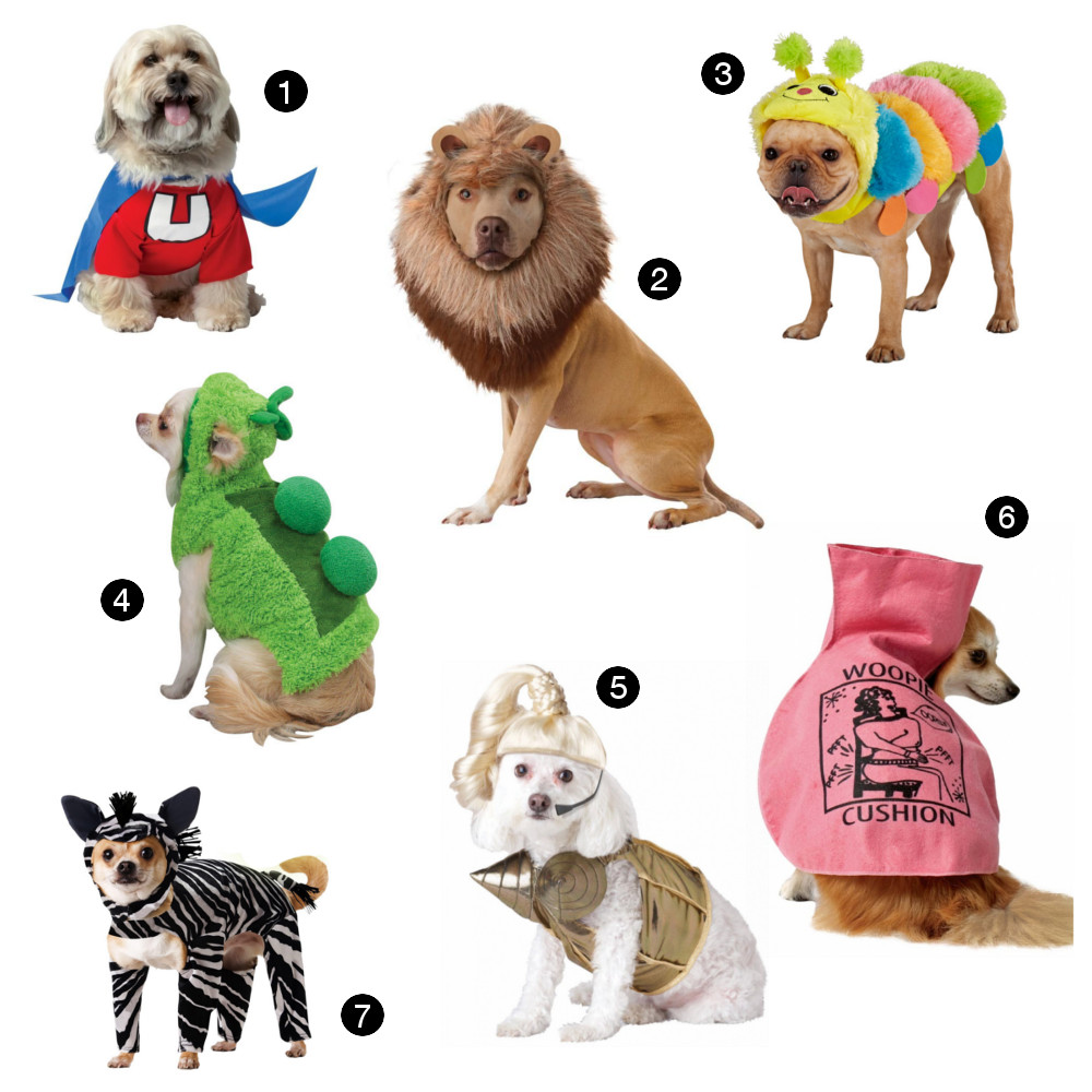 Halloween Hounds: 22 Adorable Dog Costumes for 2014