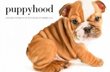 <i>Puppyhood</i>: A Photo Book by J. Nichole Smith