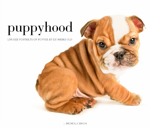 <i>Puppyhood</i>: A Photo Book by J. Nichole Smith
