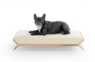 Modern Dog Beds and Bowls from designwelove
