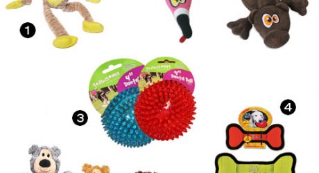 Discounted Dog Toys, Treats, and More from Doggyloot