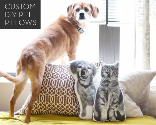 DOG-I-Y: Custom DIY Pet Pillows