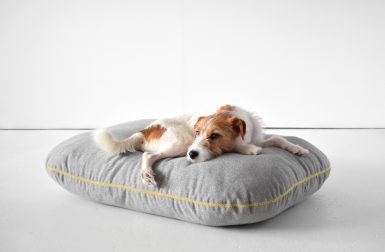 Modern Dog Beds from Doca Pet