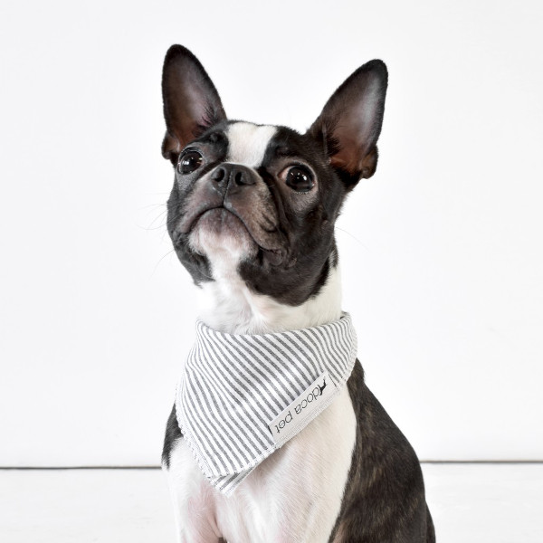 New from Doca Pet: Toys and Bandanas