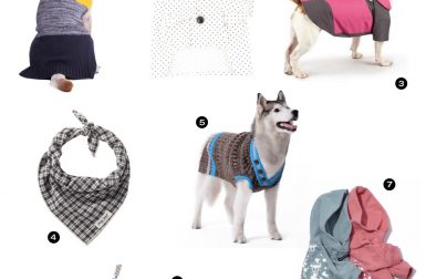 Dog Milk Holiday Gift Guide: 19 Stylish Clothing Gifts for Dogs