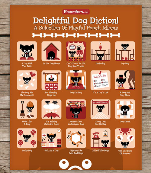 Dog Idioms Poster from Knowsters Dog Idioms Poster from Knowsters