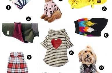 Dog Milk Holiday Gift Guide: 26 Awesome Dog Coats, Sweaters, and More