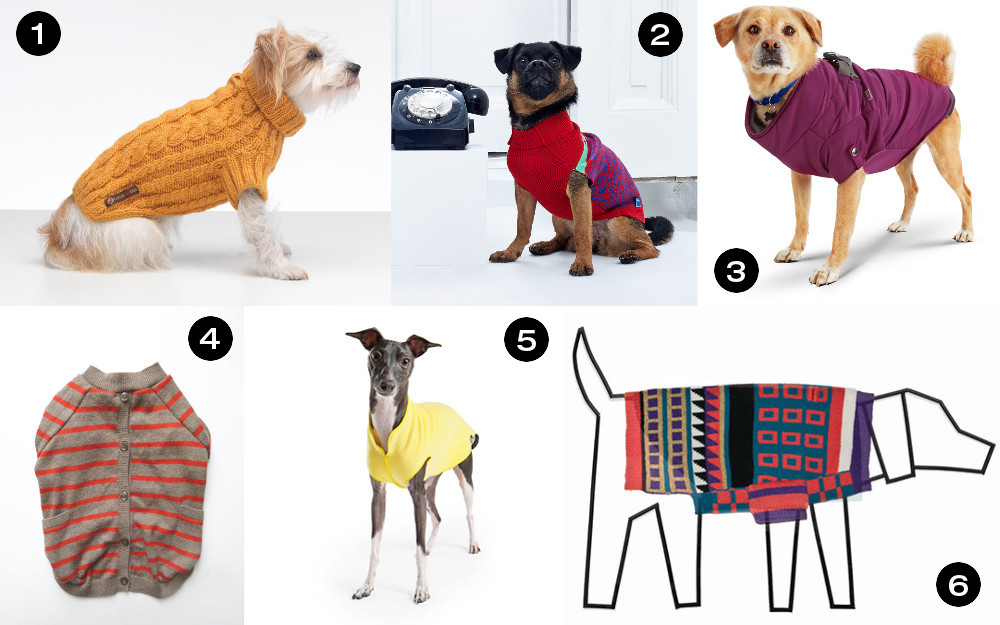 Dog Milk Holiday Gift Guide: Stylish Coats, Jackets, and Sweaters for Dogs