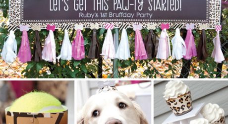 Themed Dog Party Kits from When Pooch Comes to Shove