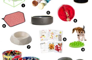 Dog Milk Holiday Gift Guide: 21 Modern Dog Bowls, Feeders, and Accessories