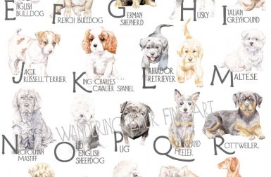 ABC Dog Breed Alphabet Poster from Lauren Rogoff