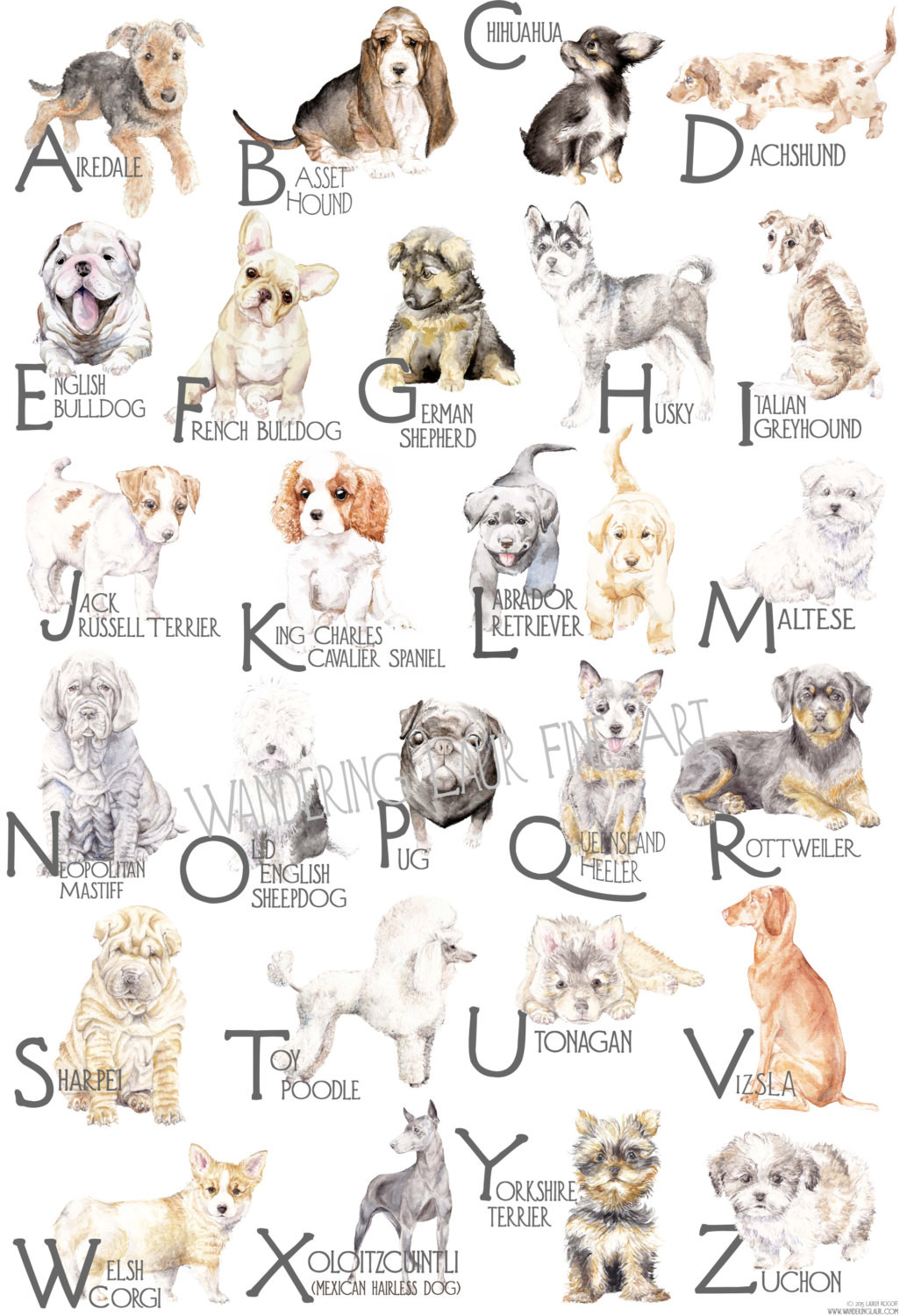 ABC Dog Breed Alphabet Poster from Lauren Rogoff
