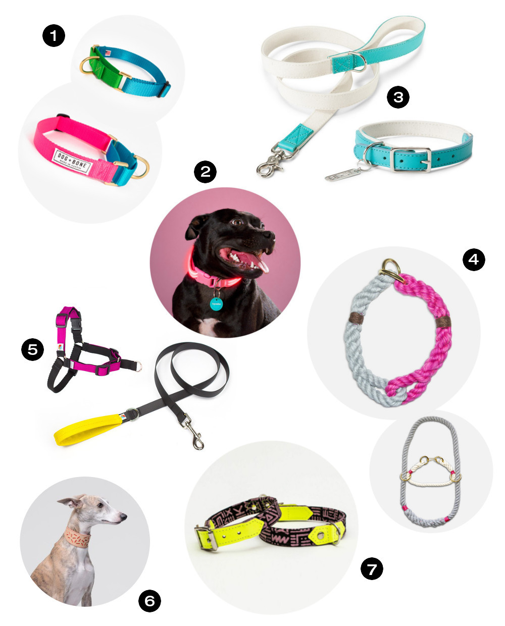 Dog Milk Holiday Gift Guide: 24 Stylish Collars, Leashes, and Harnesses