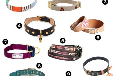 Dog Milk Holiday Gift Guide: 20 Awesome Dog Collars, Leashes, and Harnesses
