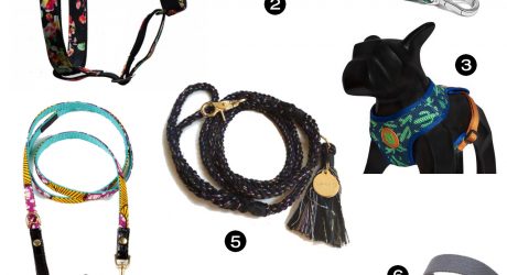 Dog Milk Holiday Gift Guide: 12 Awesome Collars, Leashes, & Harnesses