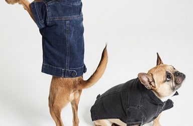 Denim Trucker Jackets for Dogs from DL1961