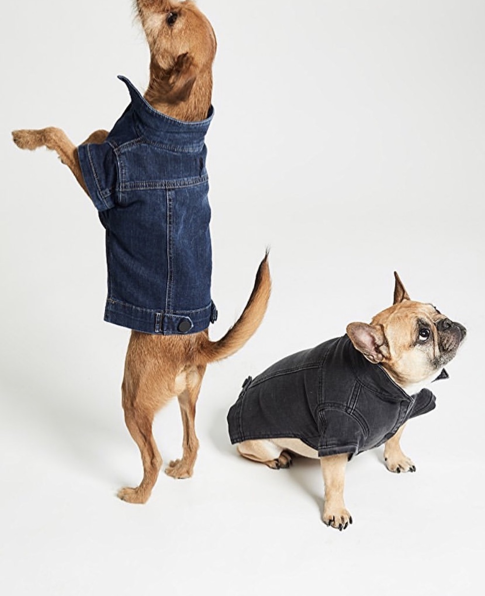 Denim Trucker Jackets for Dogs from DL1961