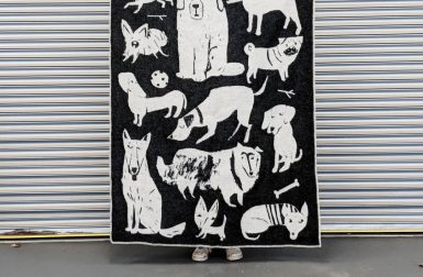 Dog Park Blanket from Four Legs / Four Walls