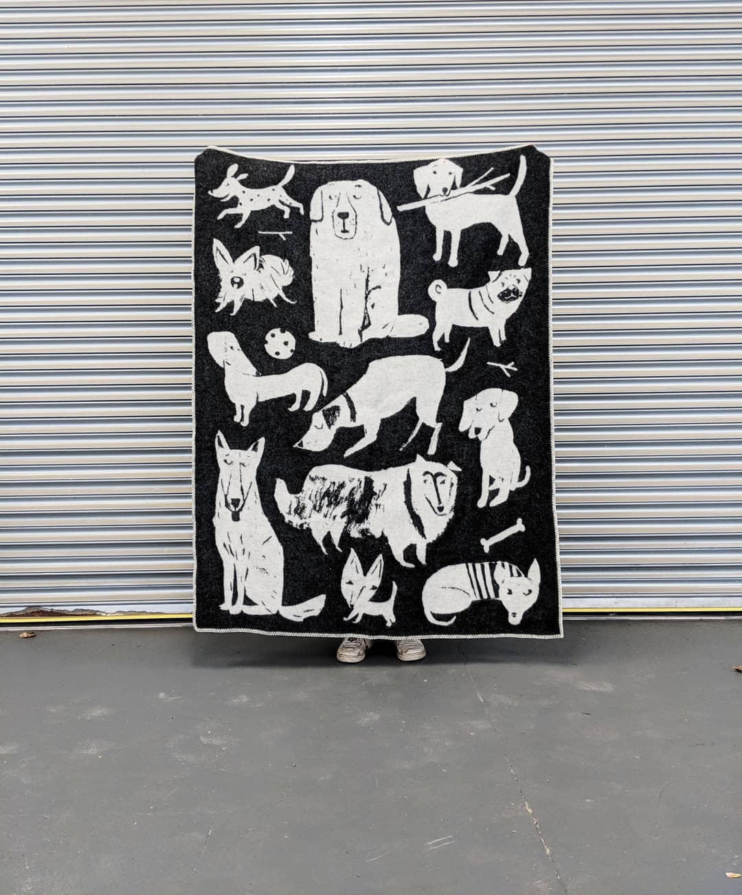 Dog Park Blanket from Four Legs / Four Walls