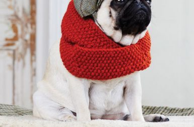 Wool Dog Scarves from Love My Dog
