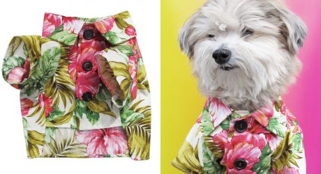 Summer Shirts and Bandanas from Dog Threads