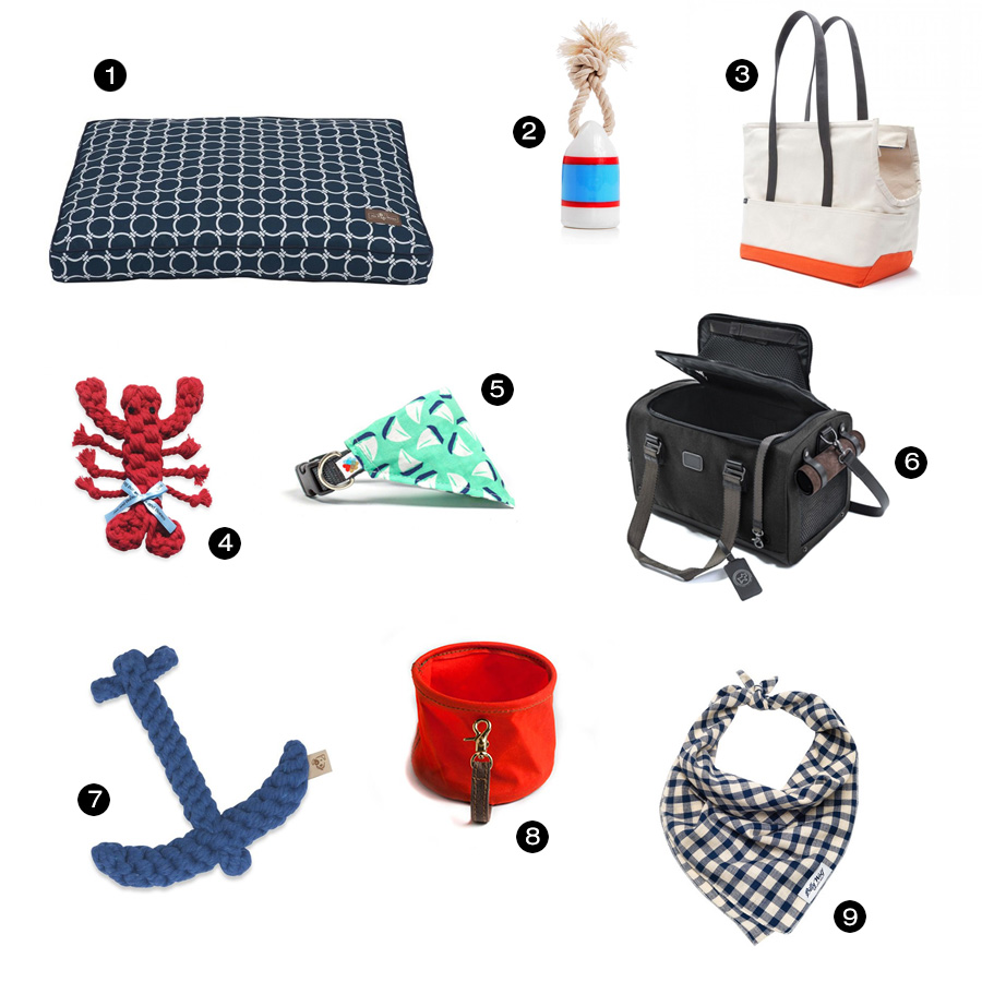 Pet shop travel essentials