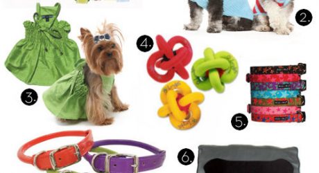 Boutique Pet Products from Moondoggie