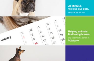 Dogs Of Method 2012 Calendar