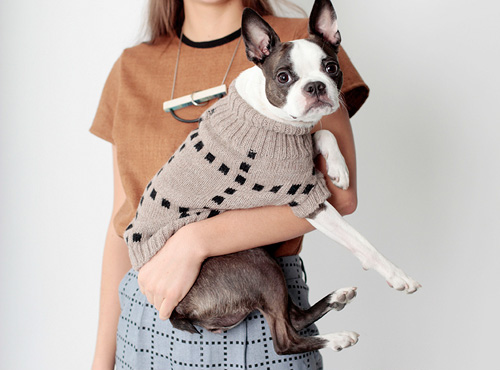 Dog Sweaters from Dusen Dusen