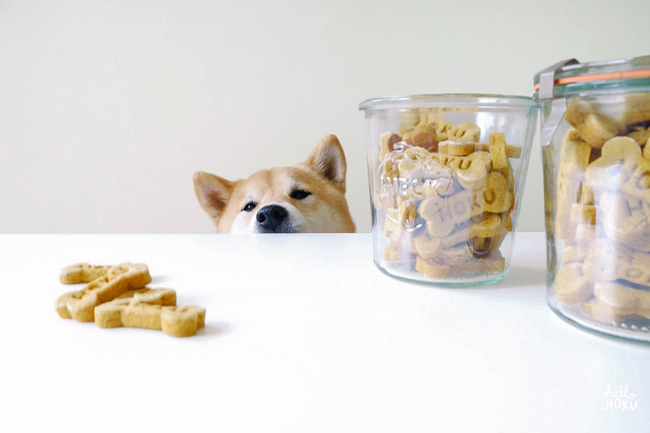 Dog-I-Y: Personalized Peanut Butter and Pumpkin Dog Treats