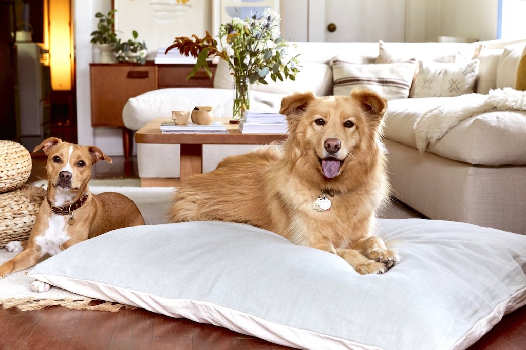Eco-Friendly Handmade Dog Beds from The Wolf Nest