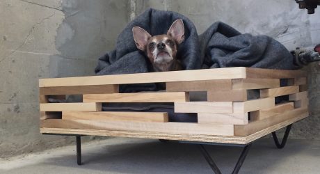 Elevated Hairpin Leg Dog Bed