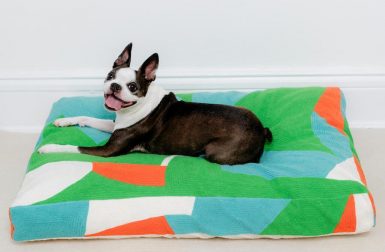 New Embroidered Dog Beds from Dusen Dusen