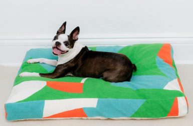 New Embroidered Dog Beds from Dusen Dusen