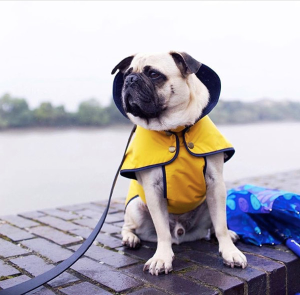 Stylish Waterproof Jackets from Fetch & Follow
