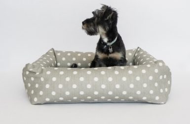 Modern Dog Beds from Fitz + Fellow