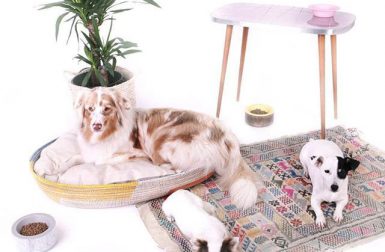 Modern Pet Beds and Bowls from FUL[L] Animaux Urbains