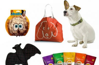 Halloween Goodie Bag Giveaway from Fun Time Dog Shop