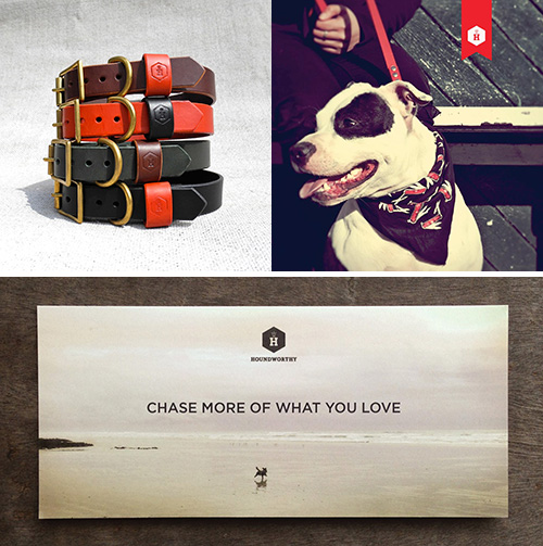 Introducing Houndworthy: A Curated Collection of Accessories for Pets and People