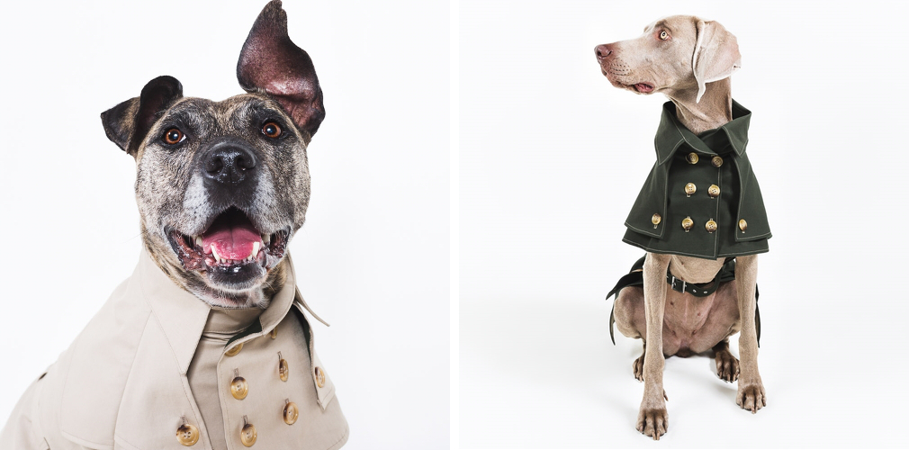 Tailored Dog Apparel from happystaffy.me