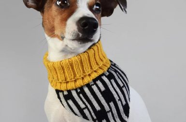 Knit Bandanas from Hello Pets