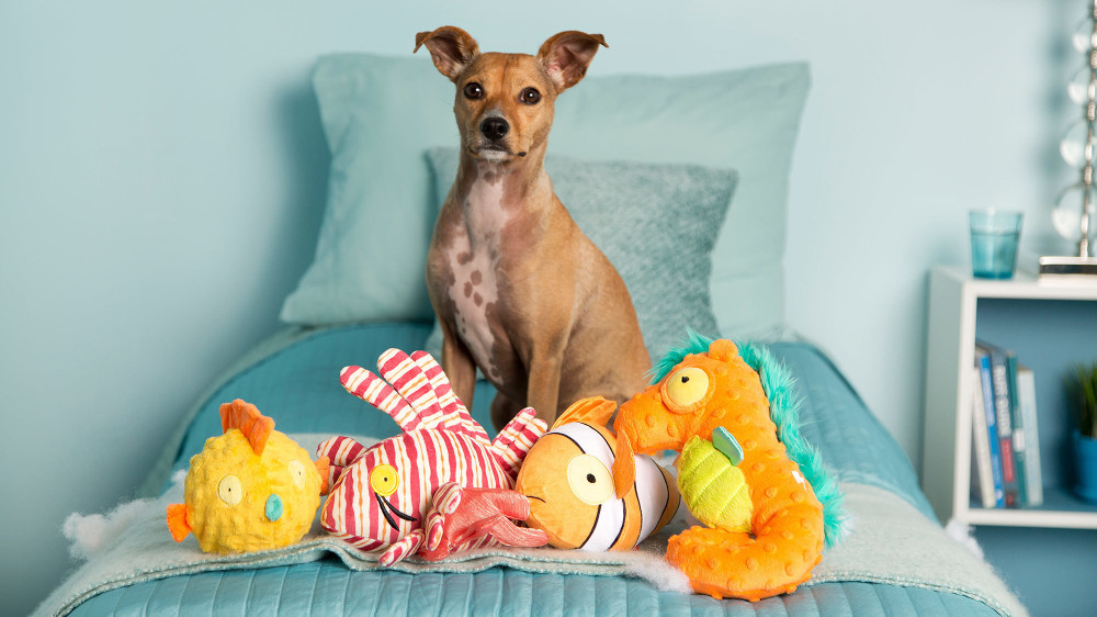Dog Milk Holiday Gift Guide: Toys! Toys! Toys!