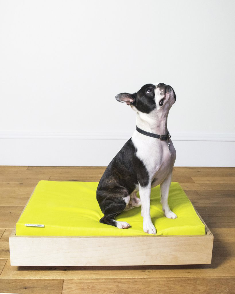 Modern Dog Beds from Hund + Haus
