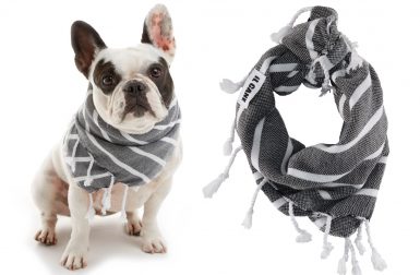 Modern Dog Accessories from iL CANE